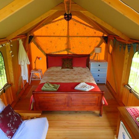 מלון Pohara Omarama Oasis - Permaculture Glamping מראה חיצוני תמונה