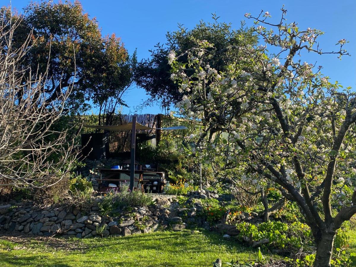 מלון Pohara Omarama Oasis - Permaculture Glamping מראה חיצוני תמונה