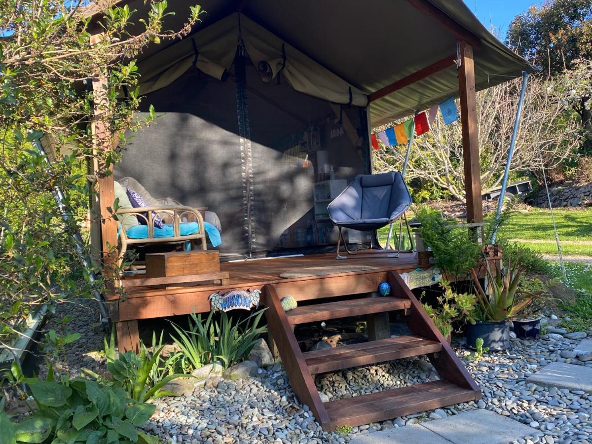 מלון Pohara Omarama Oasis - Permaculture Glamping מראה חיצוני תמונה