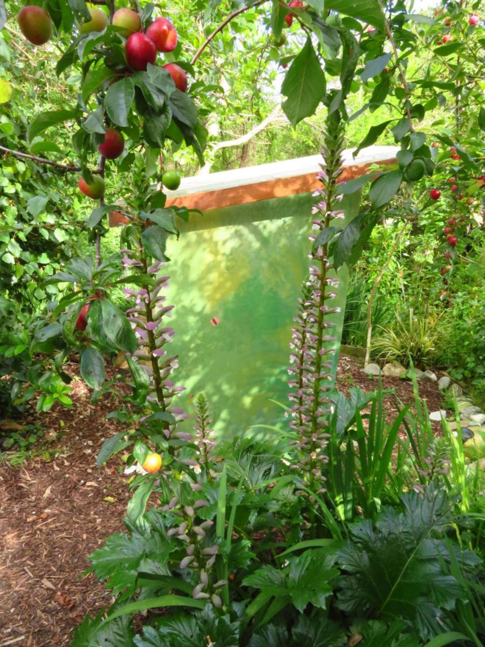 מלון Pohara Omarama Oasis - Permaculture Glamping מראה חיצוני תמונה